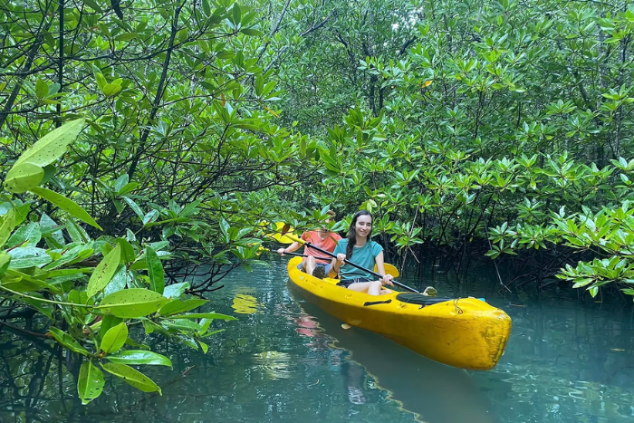 Ne manquez pas le kayak dans la mangrove - une des meilleures choses à faire à Koh Yao Yai pour les amoureux de nature
