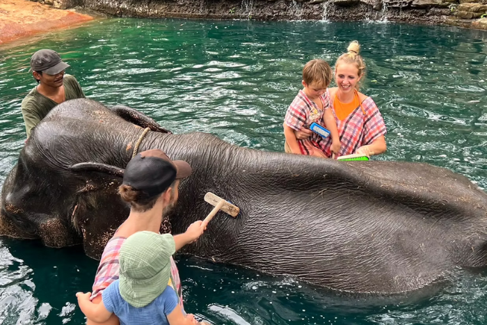 Que faire à Koh Yao Yai avec les enfants? Visiter le Koh Yao Elephant Care & House pour leur apprendre la protection des animaux!