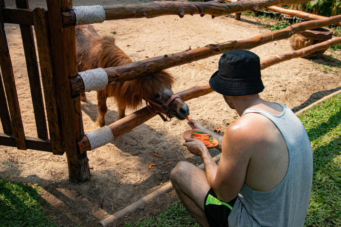 Découvrir la Mini Farm Santhiya - un des meilleurs endroits pour un voyage à Koh Yao Yai en famille
