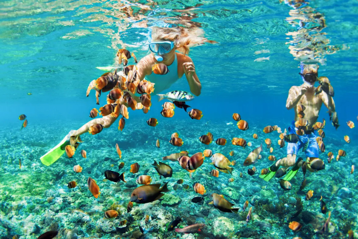 Plonger parmi des milliers de poissons tropicaux est une expérience inoubliable lors de votre itinéraire 5 jours à Koh Yao Yai 