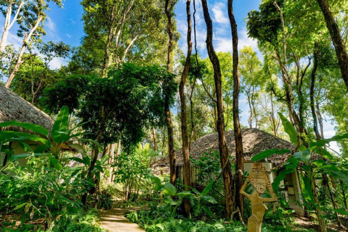 Si vous aimez découvrir la nature et les forêts, le début de la saison des pluies est la meilleure période pour visiter Koh Yao Yai pour vous