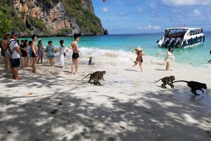 L'itinéraire 3 jours à Koh Phi Phi: visiter Monkey Beach, Koh Phi Phi Don