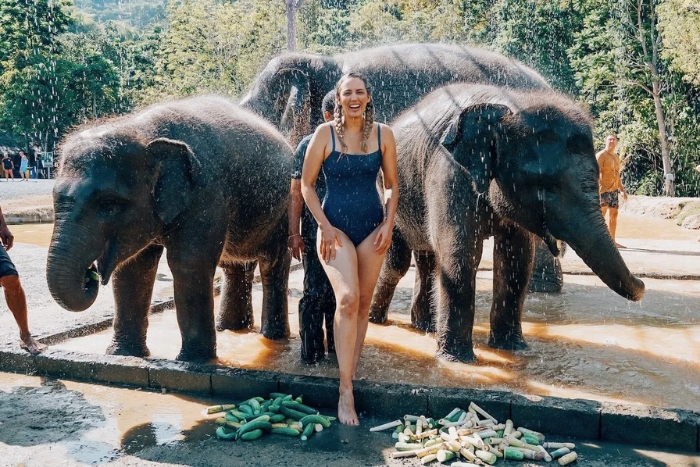 Éléphants à Krabi