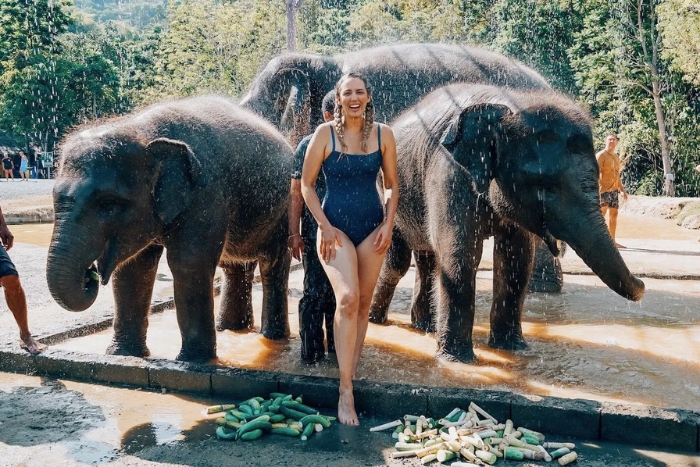 Éléphants à Krabi