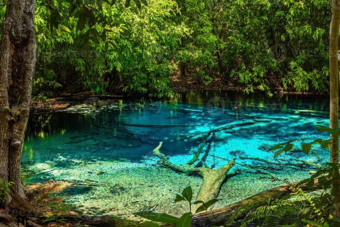 Activité à faire à Krabi