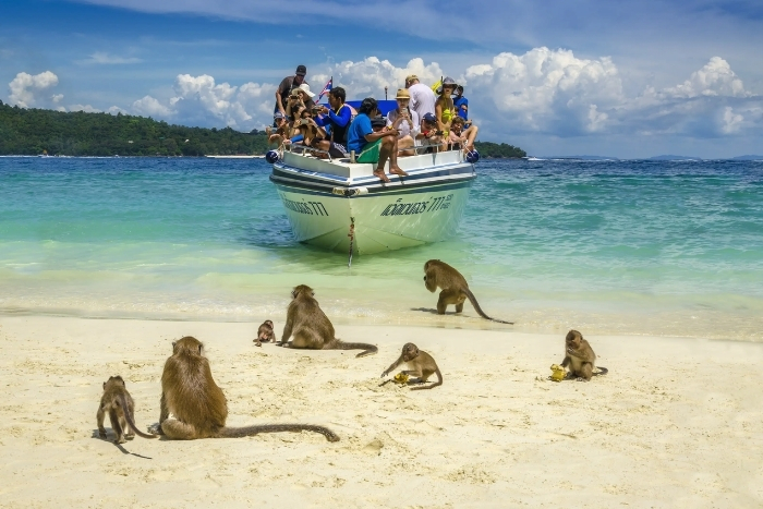 Monkey Beach