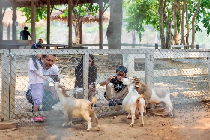 Moment de d&eacute;tente au Singha Park dans votre s&eacute;jour au nord Tha&iuml;lande avec des enfants