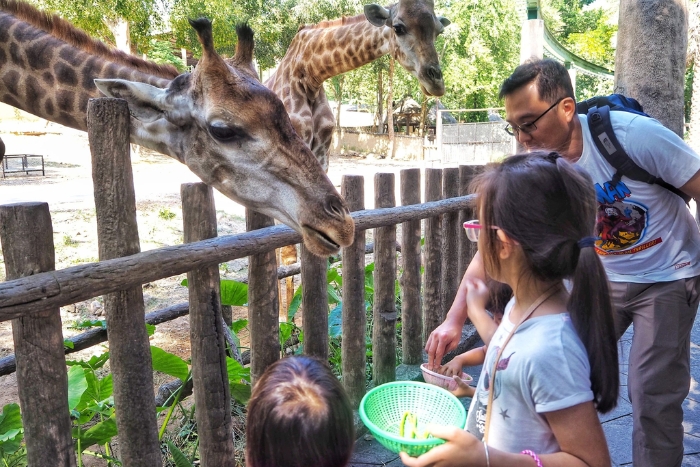 Interagir avec les animaux est également une excellente idée pour le Pâques en Thaïlande