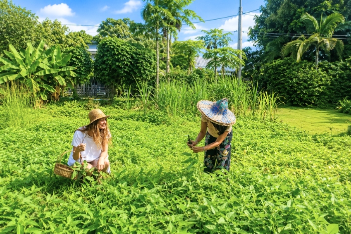 Moment nature au c&oelig;ur du Phuket Nonnita Boutique Resort
