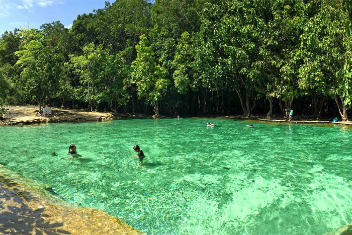 Piscine d'Émeraude entourée de jungle à Krabi
