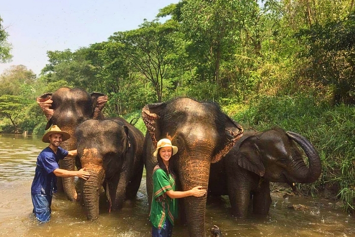 Sanctuaire d'éléphants éthique