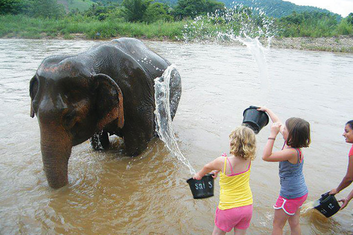 La visite de l’Elephant Nature Park à Chiang Mai était vraiment un vrai régal pour les enfants