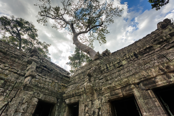 Ta Prohm est incontournable dans un circuit combiné Thaïlande Cambodge Vietnam