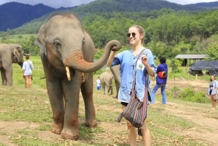 Living Green Elephant Sanctuary dans l'itin&eacute;raire de luxe en Tha&iuml;lande 1 semaine