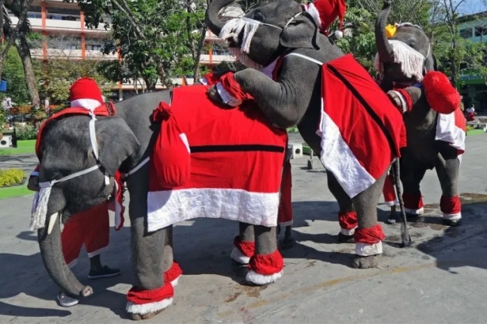 La Thaïlande célèbre Noël avec de nombreuses activités amusantes