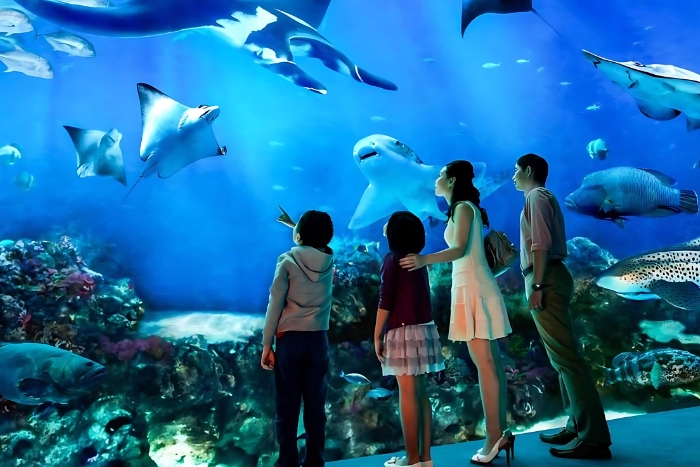 Les enfants peuvent explorer le monde aquatique à SEA LIFE Bangkok Ocean World
