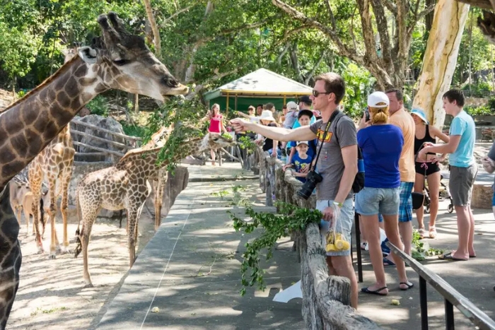 Découvrez le Khao Kheow Open Zoo avec les enfants à Pattaya
