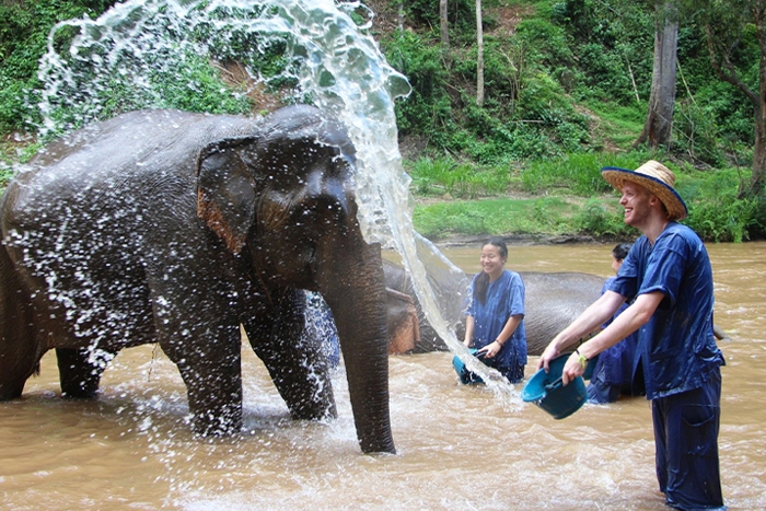 Voyage authentique à Chiang Mai Thaïlande 4 jours