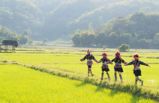 Où Visiter En Thaïlande Pour Voir Les Ethnies? Un Voyage Culturel Authentique