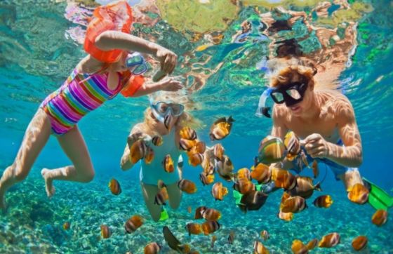 Combien Coûte Le Snorkeling En Thaïlande ?