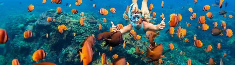 Prix snorkeling Thailande