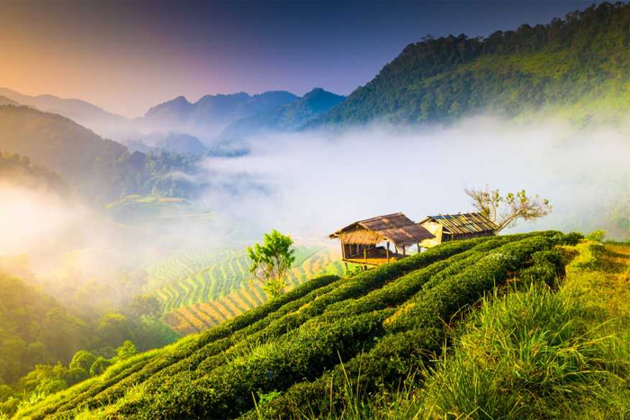 Quel est le climat en Thaïlande?