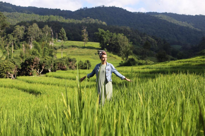 Aperçu du nord de la Thaïlande: Géographie et climat