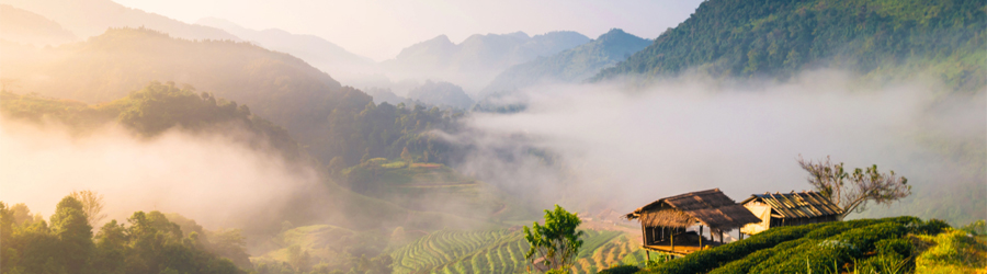 Voyage en Thaïlande du nord: Que faire en Thaïlande du nord? 