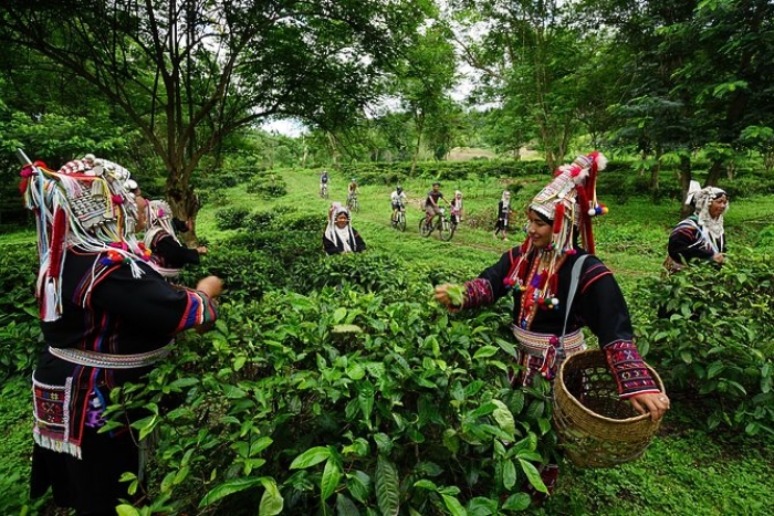 Les cascades et les villages Lisu