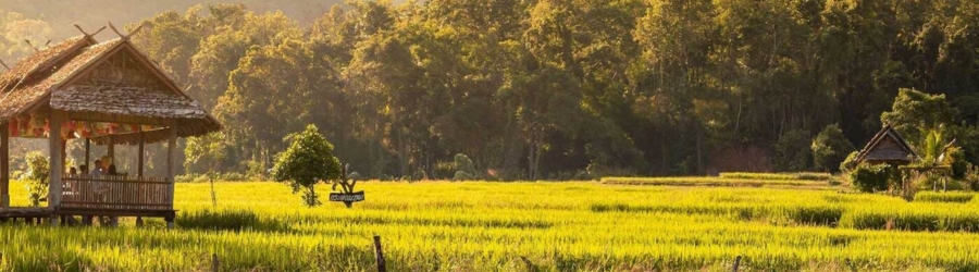 5 jours Trek des tribus du nord de la Thaïlande