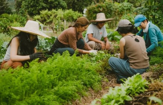 Visite De Ferme écologique En Thaïlande - Que Découvrir ?
