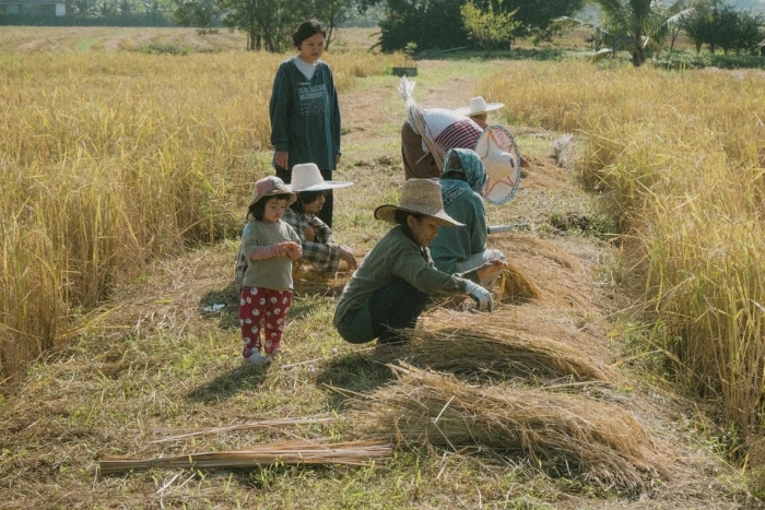 La visite de ferme écologique en Thaïlande est une expérience touristique originale
