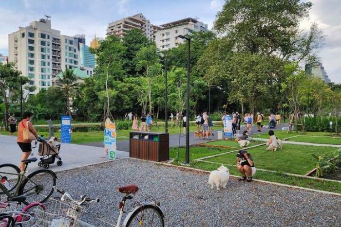 Bangkok compte de nombreux parcs publics pet-friendly où les chiens sont les bienvenus