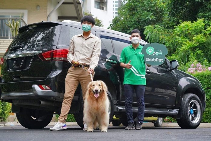 Vous pouvez réserver un Grab pour vous déplacer facilement avec votre chien en Thaïlande