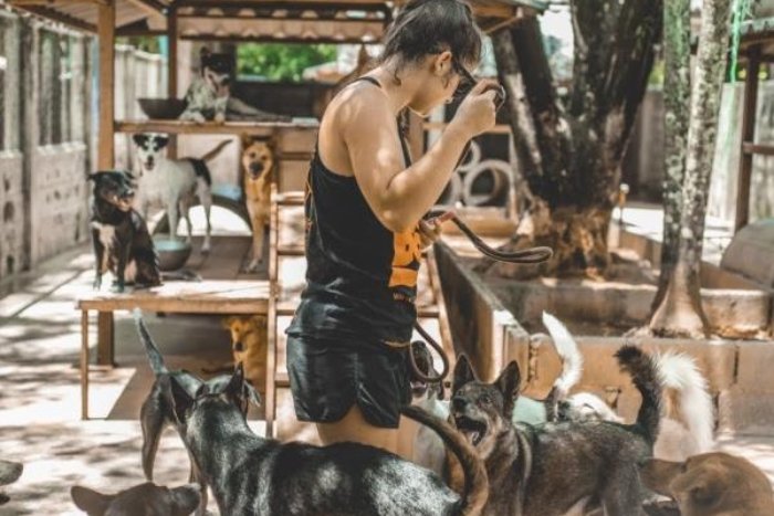 Passer du temps dans des refuges est une activité idéale pour les amoureux des animaux