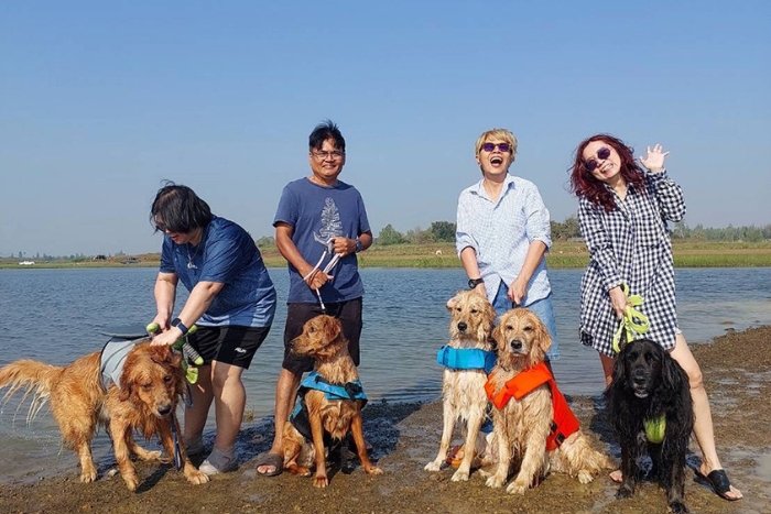 Découvrez des activités amusantes à faire à la plage avec votre chien à Pattaya !
