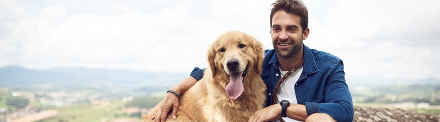 Comment voyager en Thaïlande avec son chien ? Découvrez nos conseils pratiques !