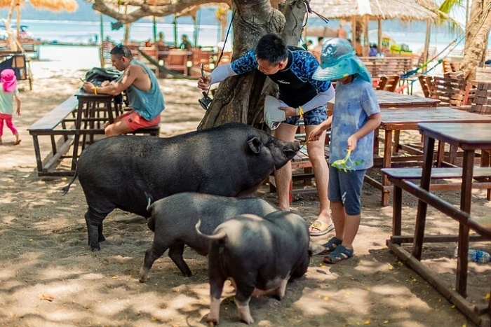 Activit&eacute;s douces pour toute la famille