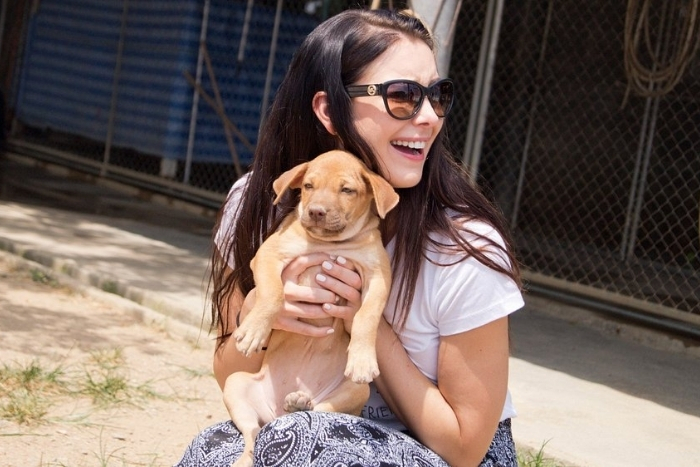 R&egrave;glement pour voyager en Tha&iuml;lande avec un animal