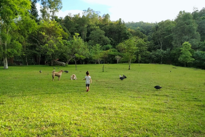 Quand visiter Chiang Mai ? 