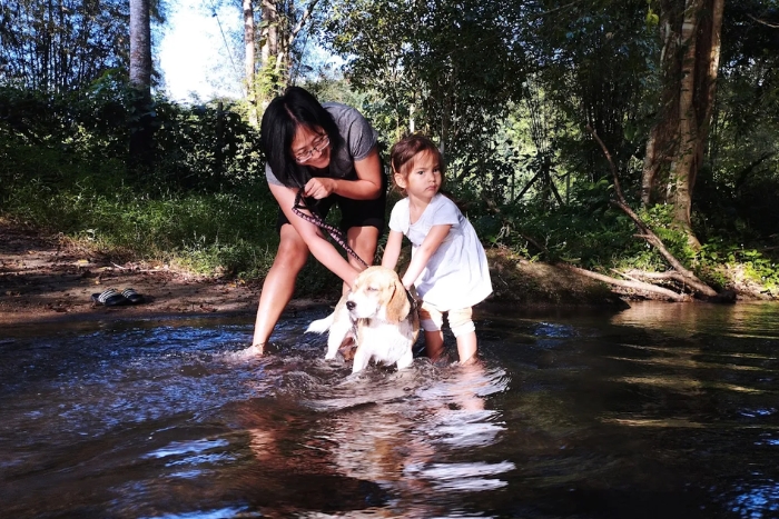 Baigner le chien Daisy dans la rivi&egrave;re