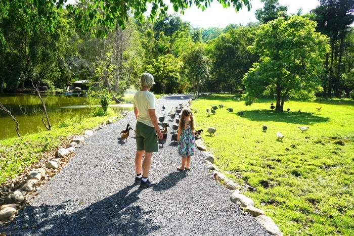 Faire des promenades
