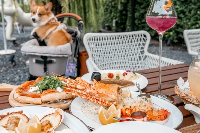 Manger avec votre animal de compagnie dans votre voyage en Tha&iuml;lande