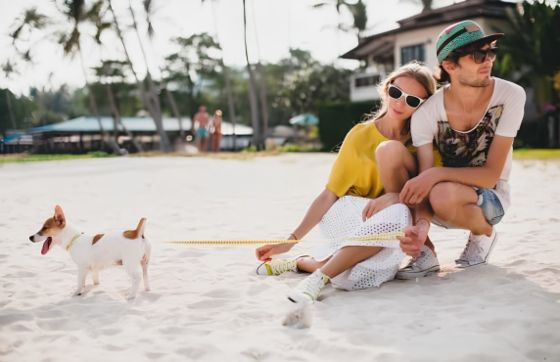Que Savoir Sur Le Voyage En Thailande Avec Un Animal De Compagnie ?