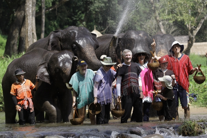 Que faire à la ferme Thaïlande ? Visitez Patara Elephant Farm