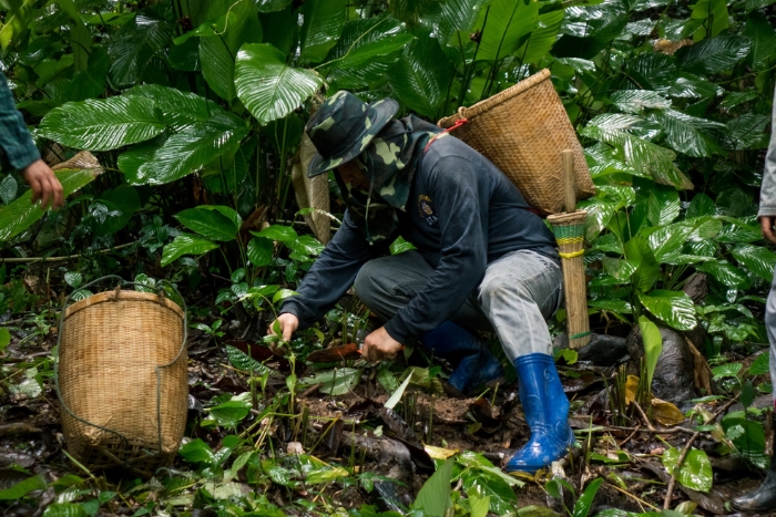Explorez le village de Mae Kampong, une activité pour votre séjour à la ferme Thaïlande