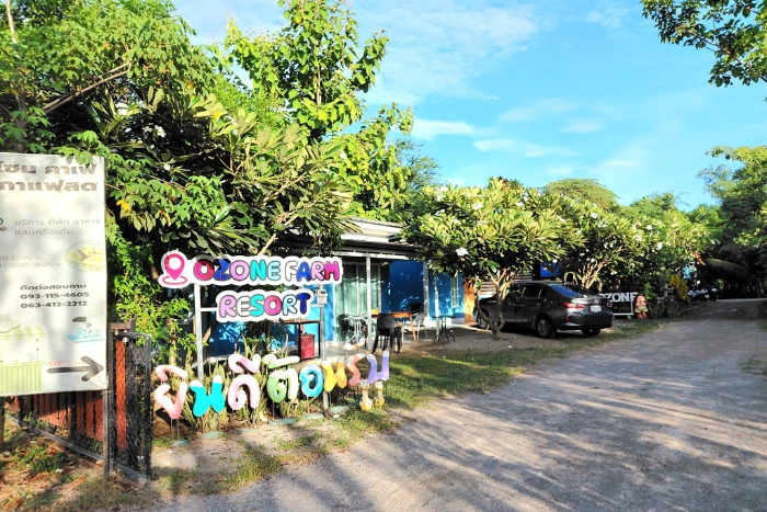 Que faire à la campagne Thaïlande ? Visitez Ozone at Farm