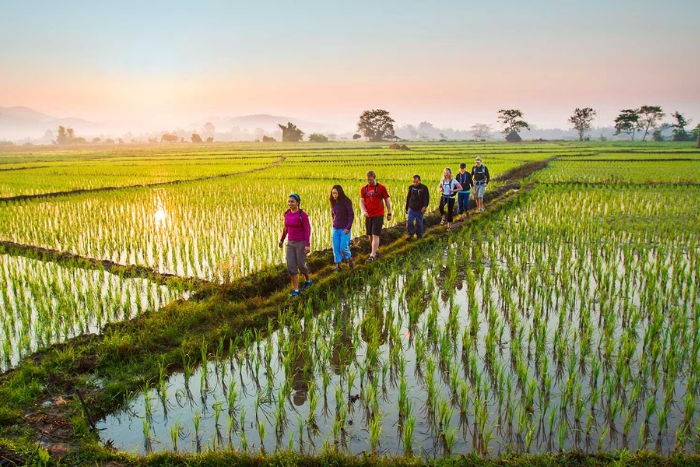 Les promenades et randonnées sont des activités à la ferme Thaïlande