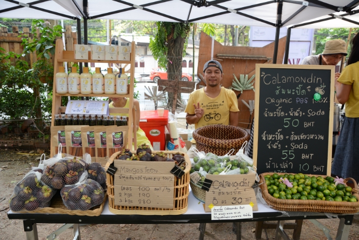Ateliers durables et écologiques, un des meilleures activités à la ferme thaïlandaise