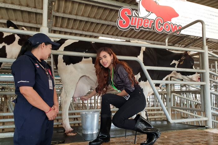 Farm Chokchai, destination à visiter pour votre séjour à la ferme Thaïlande